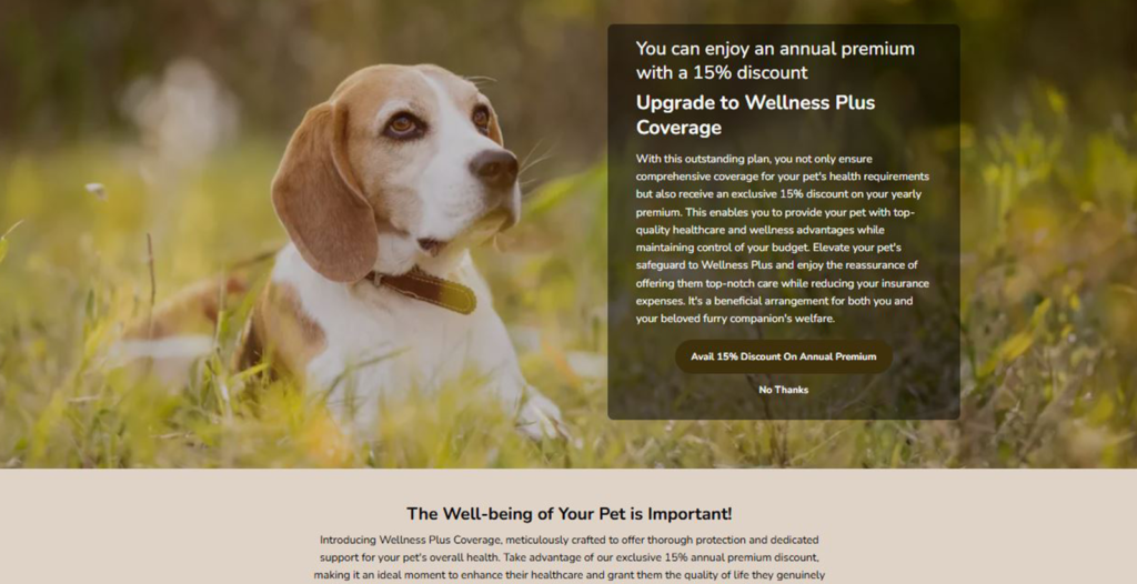 Pet Insurance 23